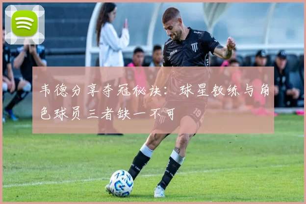 韦德分享夺冠秘诀：球星教练与角色球员三者缺一不可